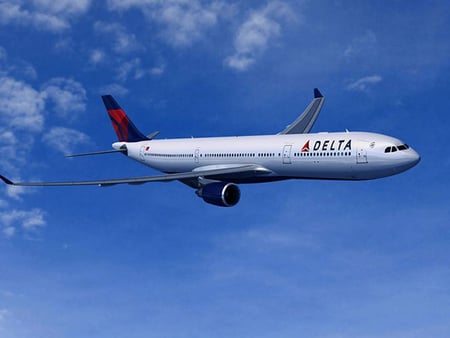 Delta Air Lines Plane