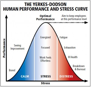 Stress Distribution